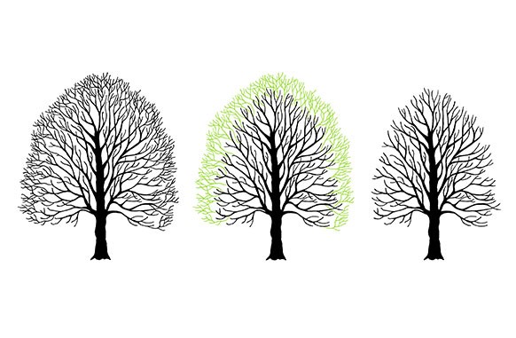 Tree Surgery Isle of Wight